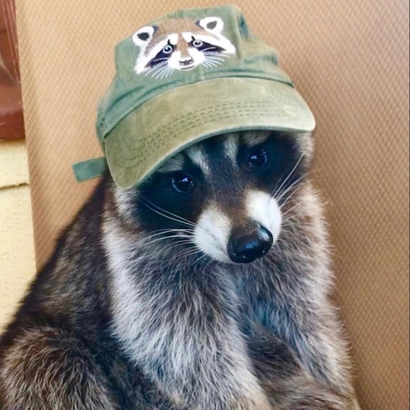 Meet your Posher, Dean - Picture 4 of 8